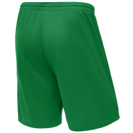 Шорты баскетбольные JOGEL Camp Basic, зеленый - downloaded from prime-sport.ru