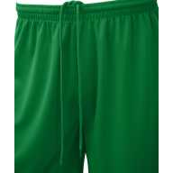 Шорты баскетбольные JOGEL Camp Basic, зеленый - downloaded from prime-sport.ru