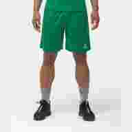 Шорты баскетбольные JOGEL Camp Basic, зеленый - downloaded from prime-sport.ru