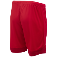 Шорты игровые DIVISION PerFormDRY Union Shorts, красный/ темно-красный/белый, детский - downloaded from prime-sport.ru