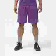 Шорты баскетбольные JOGEL Camp Basic, фиолетовый - downloaded from prime-sport.ru