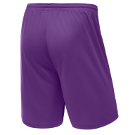 Шорты баскетбольные JOGEL Camp Basic, фиолетовый, детский - downloaded from prime-sport.ru