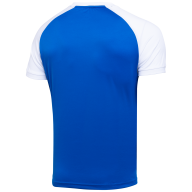 Футболка игровая JOGEL CAMP Reglan Jersey, синий/белый, детский - downloaded from prime-sport.ru