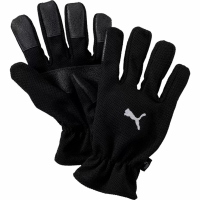 Перчатки PUMA Winter Players, 04001401-10, размер 10, черный