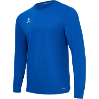 Лонгслив тренировочный JOGEL DIVISION PerFormDRY Training CVC LS Z2, синий