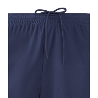 Шорты спортивные JOGEL Camp Woven Shorts, темно-синий - downloaded from prime-sport.ru