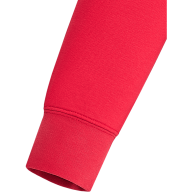 Худи JÖGEL ESSENTIAL Terry Hoodie, красный - Худи JÖGEL ESSENTIAL Terry Hoodie, красный