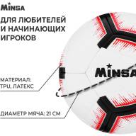 Мяч футбольный MINSA, TPE, машинная сшивка, 12 панелей, р. 5 - Мяч футбольный MINSA, TPE, машинная сшивка, 12 панелей, р. 5