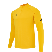 Джемпер тренировочный JÖGEL CAMP 2 Training Top, желтый, детский