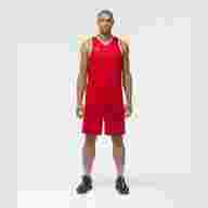 Шорты баскетбольные PerformDry Division Star, красный - downloaded from prime-sport.ru