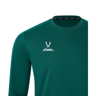 Джемпер тренировочный DIVISION PerFormDRY Pro Training Top, темно-зеленый - downloaded from prime-sport.ru