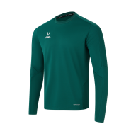 Джемпер тренировочный DIVISION PerFormDRY Pro Training Top, темно-зеленый - downloaded from prime-sport.ru