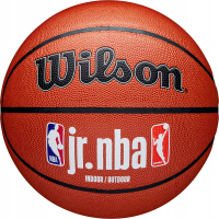 Мяч баскетбольный Wilson JR. NBA Fam Logo Indoor Outdoor WZ2009801XB7, размер 7