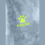 Комплект вратарской формы KELME LECHON - Комплект вратарской формы KELME LECHON