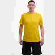 Футболка мужская ЭКИПО (Желтый) - Футболка мужская ЭКИПО (Желтый)
