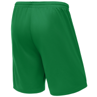 Шорты баскетбольные JÖGEL CAMP Basic, зеленый - Шорты баскетбольные JÖGEL CAMP Basic, зеленый