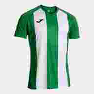 Игровая футболка JOMA INTER IV VERDE BLANCO - Игровая футболка JOMA INTER IV VERDE BLANCO
