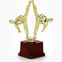 Фигура "Спортивные единоборства", 20 х 16.5 х 7.5 см