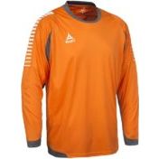 Свитер вратарский JOGEL DIVISION PerFormDRY GK Pattern LS, сиреневый/темно-серый/белый