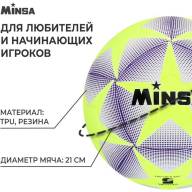 Мяч футбольный MINSA, TPU, машинная сшивка, 12 панелей, р. 5 - Мяч футбольный MINSA, TPU, машинная сшивка, 12 панелей, р. 5