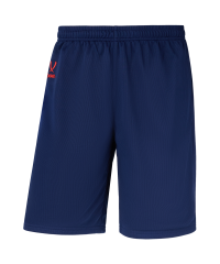 Шорты баскетбольные DIVISION PerFormDRY RBF 2S Shorts, темно-синий