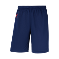 Шорты баскетбольные DIVISION PerFormDRY RBF 2S Shorts, темно-синий - downloaded from prime-sport.ru