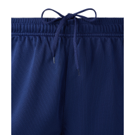 Шорты баскетбольные DIVISION PerFormDRY RBF 2S Shorts, темно-синий - downloaded from prime-sport.ru
