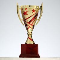 Кубок 183A, зол., подставка пластик, 23 × 12 × 8.5 см