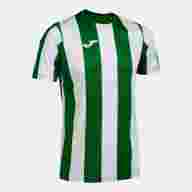 Игровая футболка JOMA INTER CLASSIC VERDE BLANCO - Игровая футболка JOMA INTER CLASSIC VERDE BLANCO