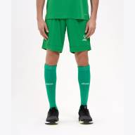 Шорты игровые JOGEL DIVISION PerFormDRY Union Shorts, зеленый - downloaded from prime-sport.ru
