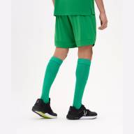 Шорты игровые JOGEL DIVISION PerFormDRY Union Shorts, зеленый - downloaded from prime-sport.ru
