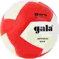 Мяч волейбольный GALA Bora 12 BV5675S, размер 5 - Мяч волейбольный GALA Bora 12 BV5675S, размер 5