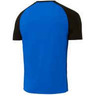 Футболка игровая JOGEL Camp Striped Jersey, синий/черный - downloaded from prime-sport.ru