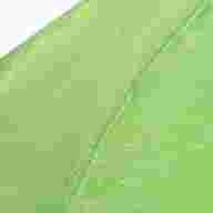 Футболка MIKASA MT193-022-2XL, размер 2XL, белая - Футболка MIKASA MT193-022-2XL, размер 2XL, белая