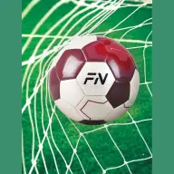 Футбольный мяч FN Football Ball, машинная сшивка + термосклейка - 5 - Футбольный мяч FN Football Ball, машинная сшивка + термосклейка - 5