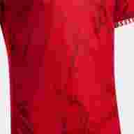 Игровая футболка JOMA GOLD VII ROJO BLANCO - Игровая футболка JOMA GOLD VII ROJO BLANCO