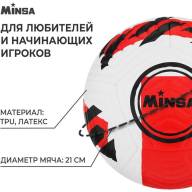 Мяч футбольный MINSA, TPE, машинная сшивка, 12 панелей, р. 5 - Мяч футбольный MINSA, TPE, машинная сшивка, 12 панелей, р. 5