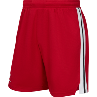 Шорты баскетбольные JOGEL DIVISION PerFormDRY Shorts R2, красный