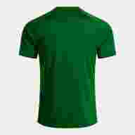 Игровая футболка JOMA INTER V VERDE BLANCO - Игровая футболка JOMA INTER V VERDE BLANCO