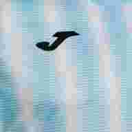 Игровая футболка JOMA INTER II CELESTE BLANCO - Игровая футболка JOMA INTER II CELESTE BLANCO