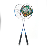 Набор для бадминтона DOUBLE FISH JINQUE TL-11, 2 ракетки