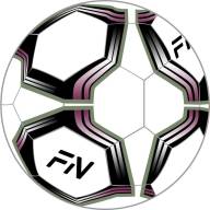 Футзальный мяч  FN Futsal Ball - Футзальный мяч  FN Futsal Ball