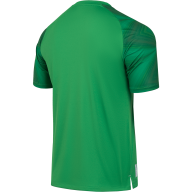 Футболка вратарская JÖGEL NATIONAL PerFormDRY GK Jersey, зеленый - Футболка вратарская JÖGEL NATIONAL PerFormDRY GK Jersey, зеленый