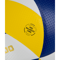 Мяч волейбольный JOGEL JV-900 - downloaded from prime-sport.ru