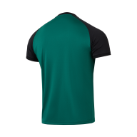 Футболка игровая JOGEL CAMP Reglan Jersey, темно-зеленый - downloaded from prime-sport.ru