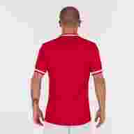 Игровая футболка JOMA PERFORMANCE MULTISPORT Красный - Игровая футболка JOMA PERFORMANCE MULTISPORT Красный