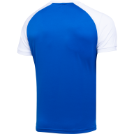 Футболка игровая JÖGEL CAMP Reglan Jersey, синий/белый - Футболка игровая JÖGEL CAMP Reglan Jersey, синий/белый