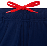 Шорты тренировочные JÖGEL NATIONAL PerFormDRY Training Shorts, темно-синий - Шорты тренировочные JÖGEL NATIONAL PerFormDRY Training Shorts, темно-синий