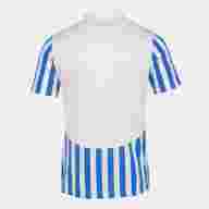 Игровая футболка JOMA PERFORMANCE MULTISPORT Белый-синий - Игровая футболка JOMA PERFORMANCE MULTISPORT Белый-синий