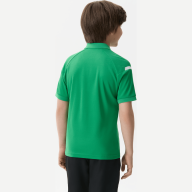 Поло JÖGEL CAMP 2 Poly Polo, зеленый/белый - Поло JÖGEL CAMP 2 Poly Polo, зеленый/белый